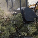 Forestry Mulching in Polk County, Texas
