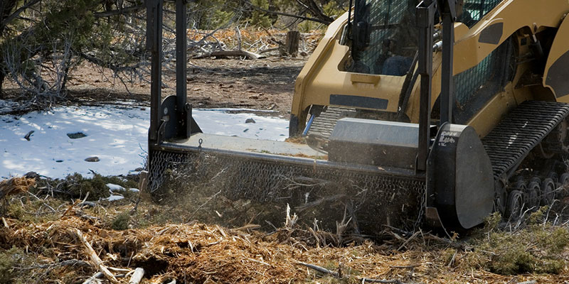 How Land Clearing Can Benefit the Environment