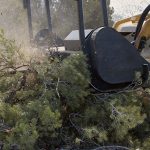 Forestry Mulching