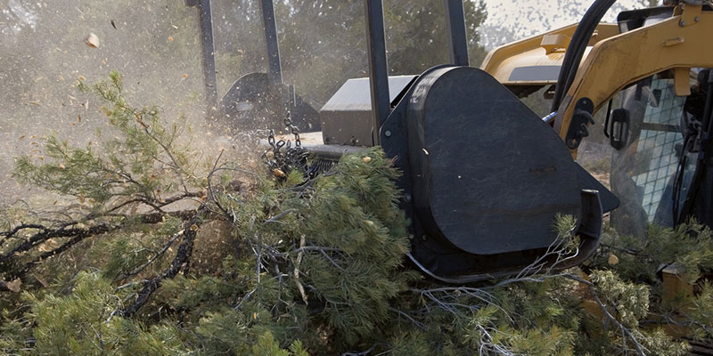 Forestry Mulching in San Jacinto County, Texas