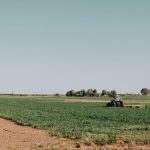 Batwing Mowing