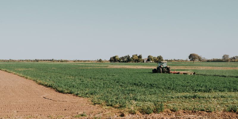 Batwing Mowing in San Jacinto County, Texas