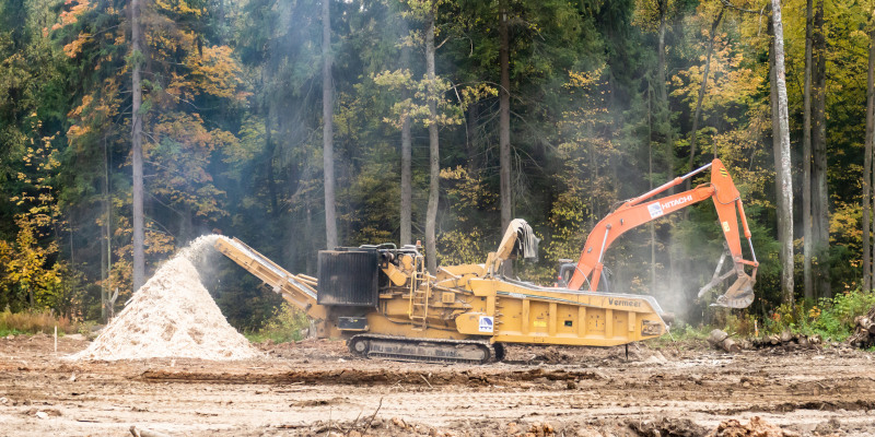 5 Reasons to Choose Forestry Mulching Services for Property Clearing Jobs