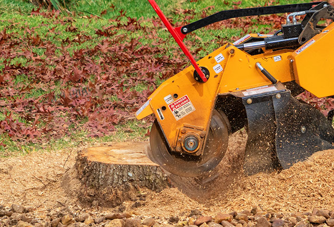 Why is Stump Grinding Necessary?