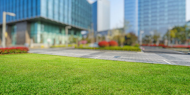 Choosing a Commercial Lawn Maintenance Provider
