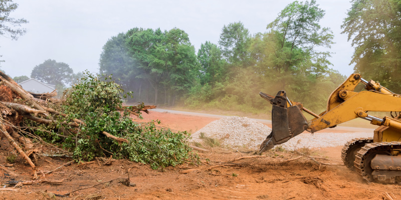 Five Reasons to Invest in Land Clearing