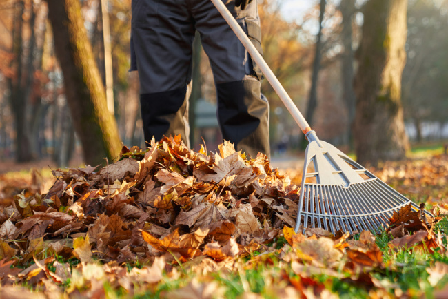Top Tips for Fall Lawn Maintenance