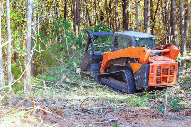 Forestry Mulching 101