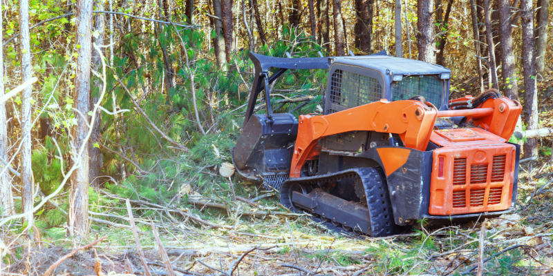 Forestry Mulching 101