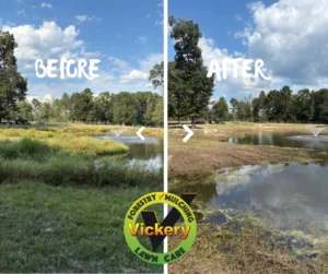 Swing Arm Motor Brush Cutting Before and After 2
