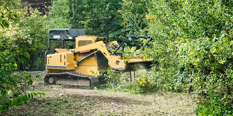 Forestry Mulching contrators providing land clearing services in Texas