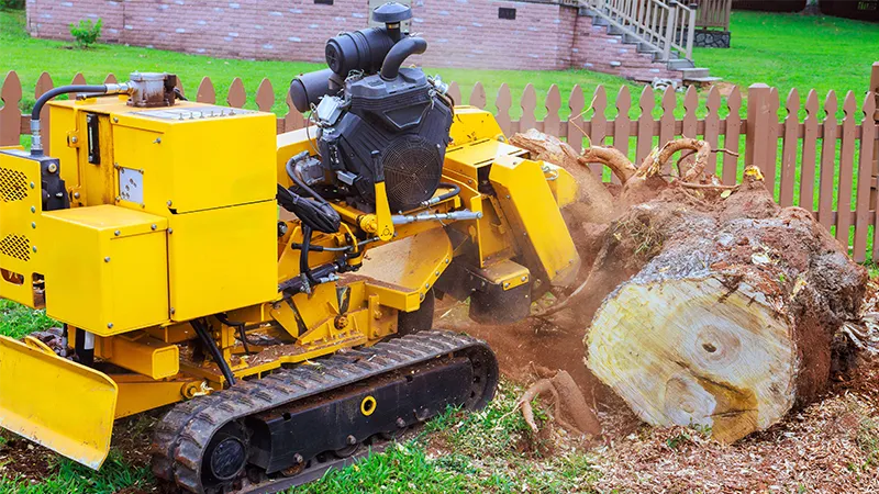 Residential Stump Grinding Residential Stump Grinding