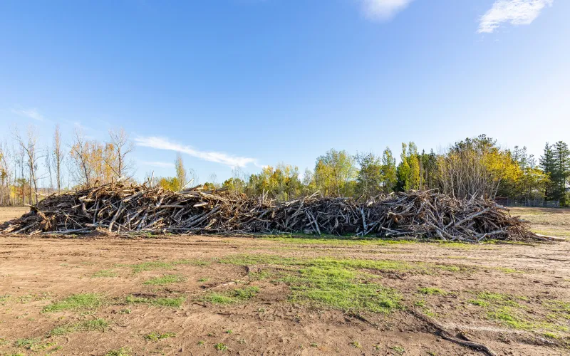 Cleared out trees on commercial property